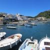 Harbour Lacco Ameno