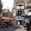 Antignano market 