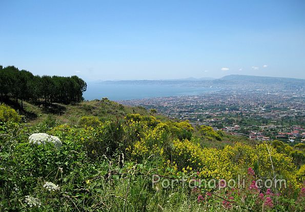 Panorama view of the gulf of Naples